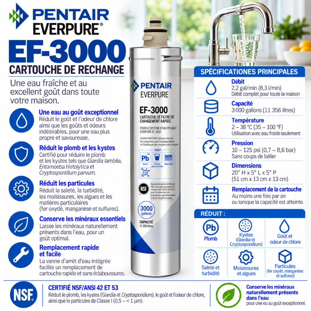 Everpure EF3000 'Full Flow' Water Filter Cartridge EV985750