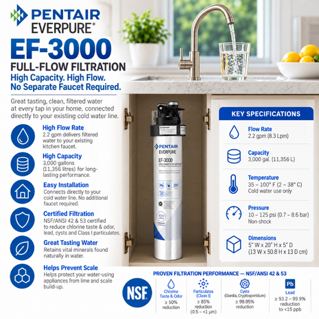 Everpure EF3000 Full Flow Drinking Water Filtration System EV985700