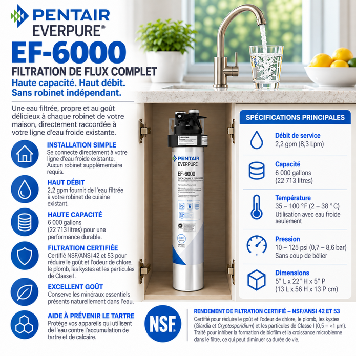 Everpure EF6000 Full Flow Drinking Water Filtration System
