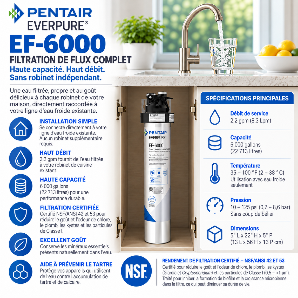 Everpure EF6000 Full Flow Drinking Water Filtration System