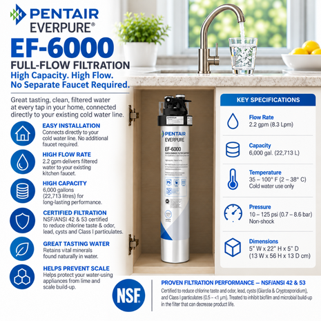 Everpure EF6000 Full Flow Drinking Water Filtration System