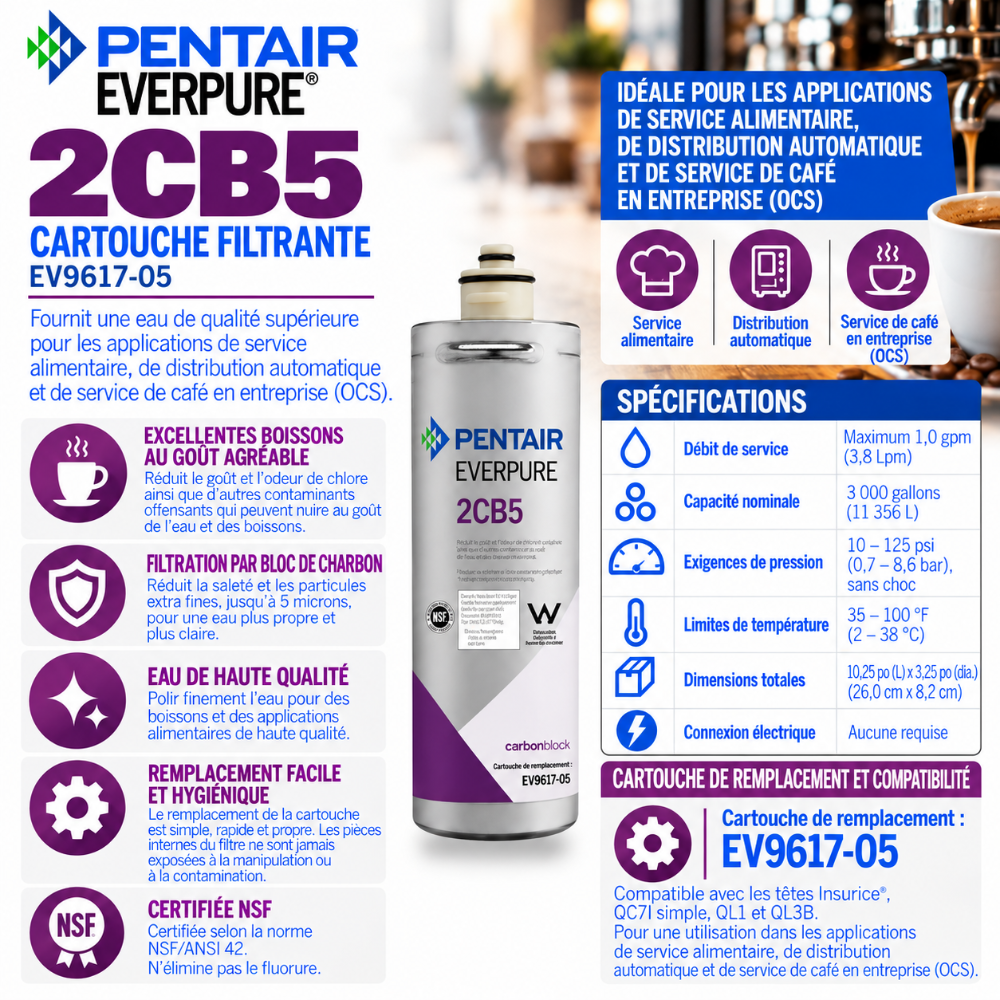 Everpure 2CB5 Water Filter Cartridge EV961705