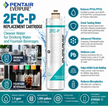 Everpure 2FCP Water Filter Cartridge EV959511 (Forever Chemicals)