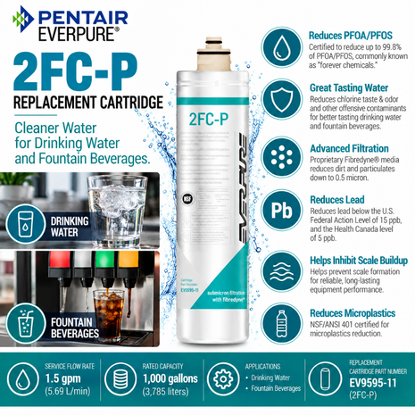 Everpure 2FCP Water Filter Cartridge EV959511 (Forever Chemicals)