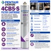 Everpure 4CB5S Water Filter Cartridge EV961721
