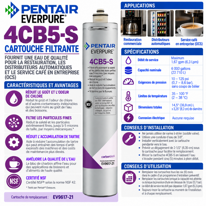 Everpure 4CB5S Water Filter Cartridge EV961721