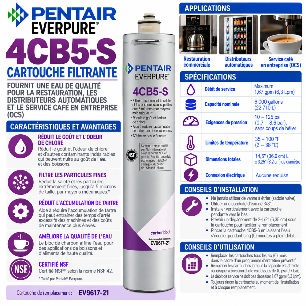 Everpure 4CB5S Water Filter Cartridge EV961721