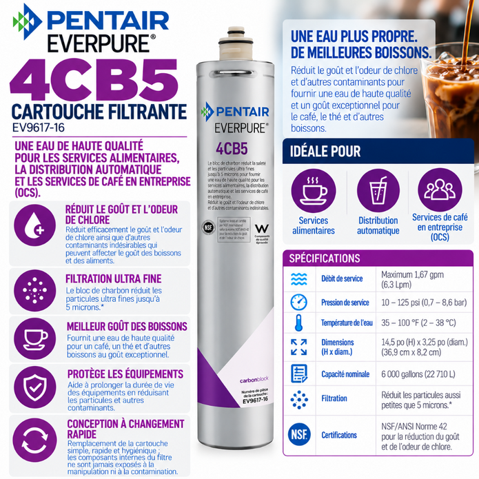 Everpure 4CB5 Water Filter Cartridge EV961716