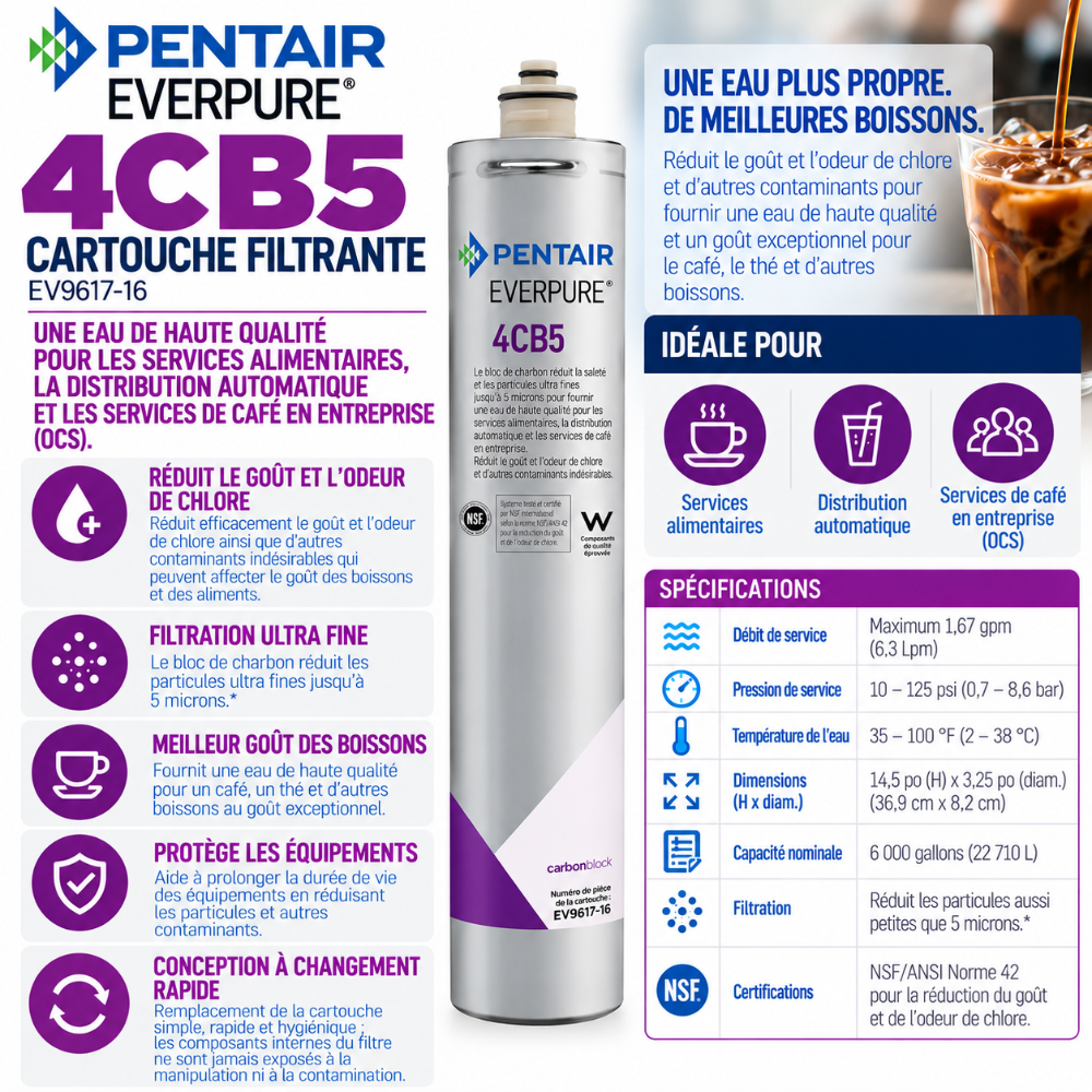 Everpure 4CB5 Water Filter Cartridge EV961716