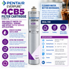 Everpure 4CB5 Water Filter Cartridge EV961716