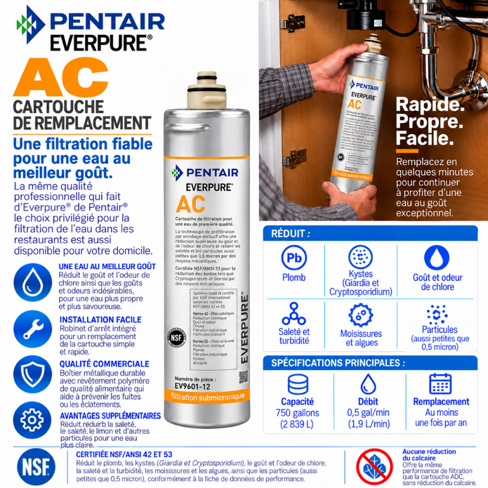 Everpure AC Water Filter Cartridge EV960112