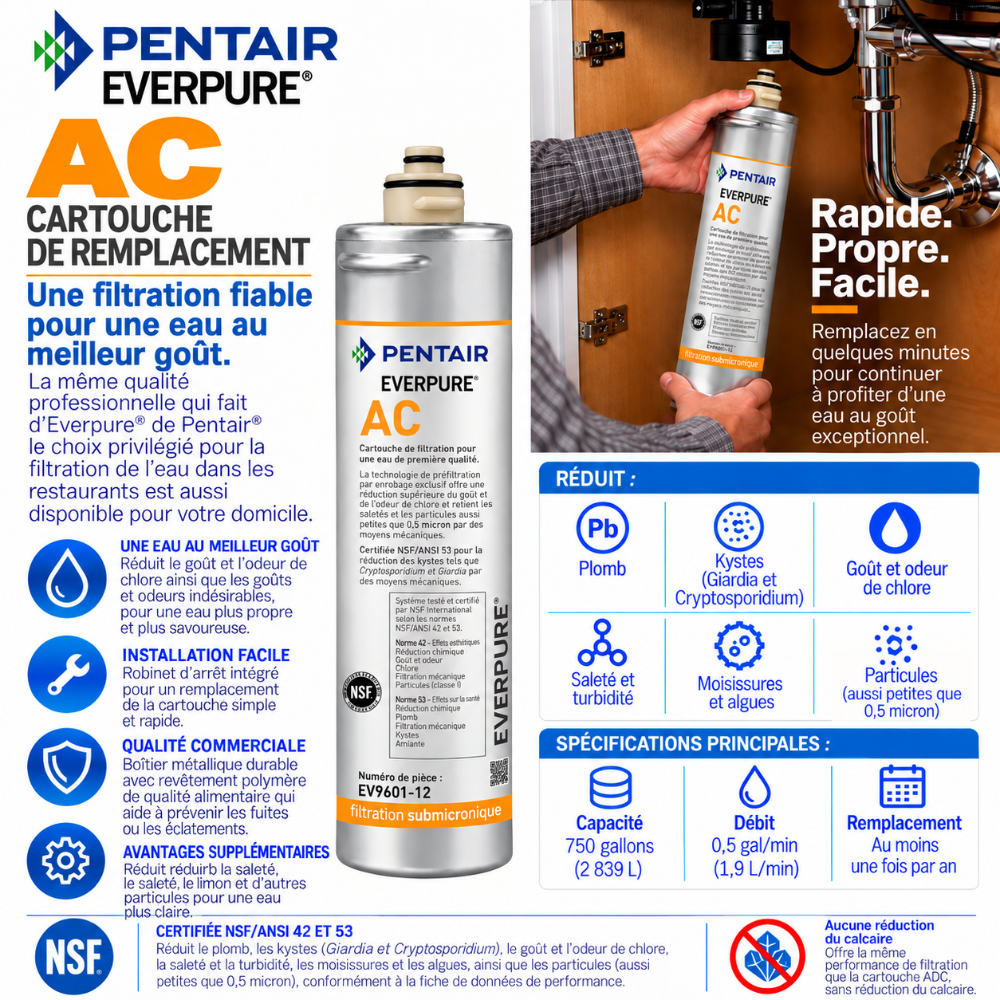 Everpure AC Water Filter Cartridge EV960112