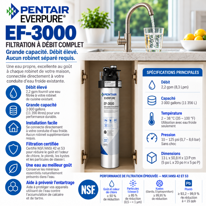 Everpure EF3000 Full Flow Drinking Water Filtration System EV985700