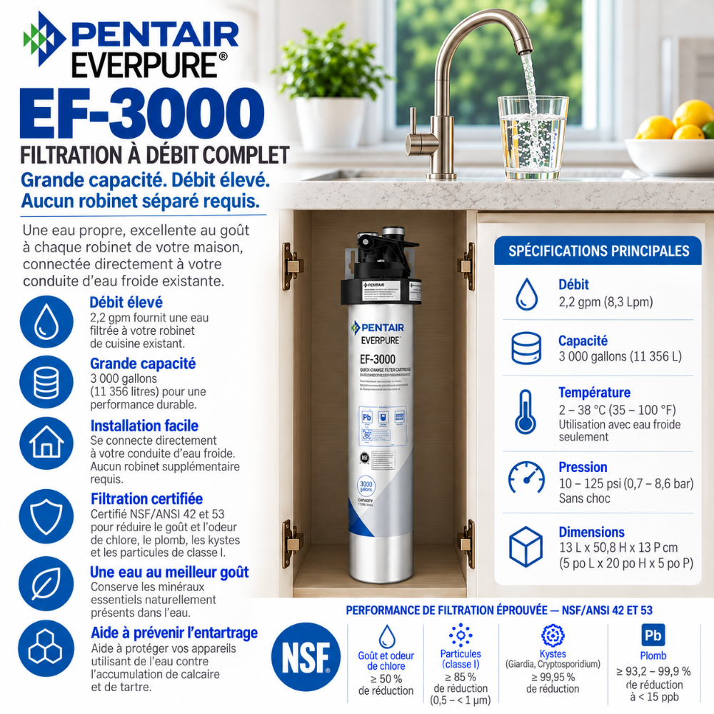 Everpure EF3000 Full Flow Drinking Water Filtration System EV985700