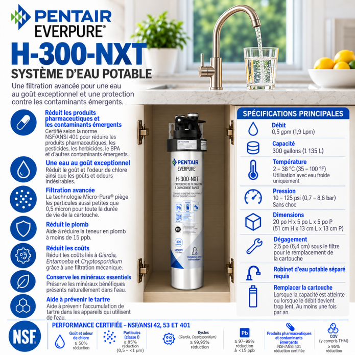 Everpure H300NXT Drinking Water Filtration System EV927151