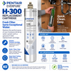 Pentair Everpure H-300 replacement cartridge filter shown in a kitchen sink installation scene with a wood cabinet and faucet visible, plus large product information graphics around the image.