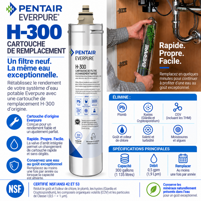 Pentair Everpure H-300 replacement filter cartridge shown on a white background with French marketing text, product specs, and a small inset photo of a person installing the filter.