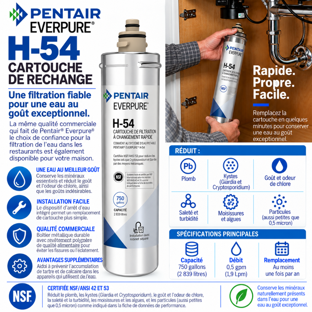 Everpure H54 Water Filter Cartridge EV925268