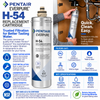 Pentair Everpure H-54 replacement cartridge filter kit with a 750 gallon filter, shown alongside a silver water flow tube and informational text and icons on a white background.