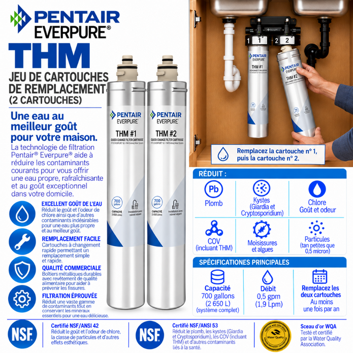 Everpure THM #1 & THM #2 Water Filter Cartridge Kit #THMKIT