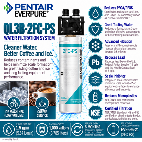Everpure QL3B-2FCPS Water Filtration System EV929810 (Forever Chemicals), Everpure QL3B-2FCPS System EV929810 | Forever Chemicals | Efilters ,Water Filter System