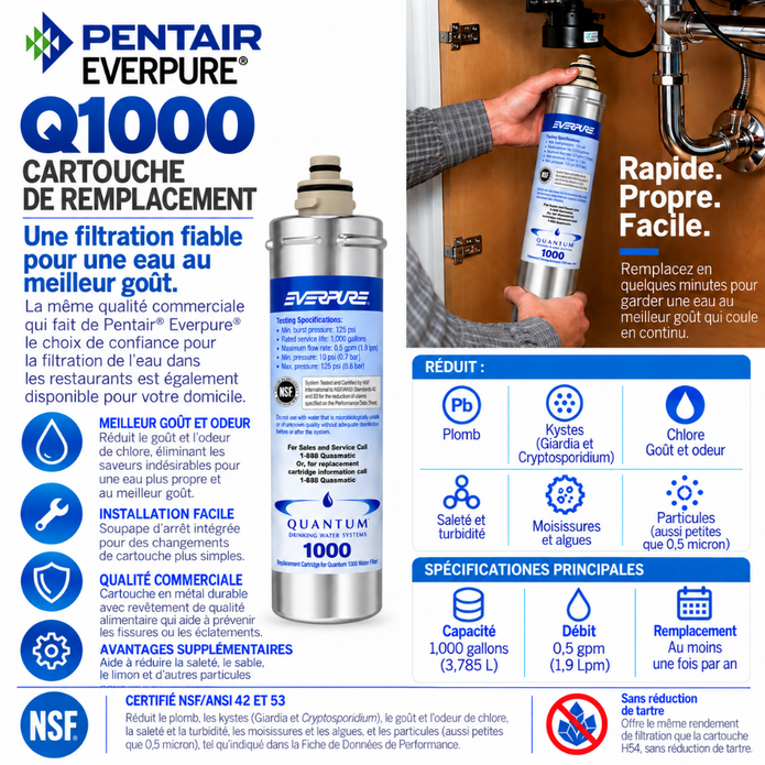 Pentair Everpure Q1000 replacement water filter cartridge package with a hand holding the white cylindrical cartridge, showing product details, specifications, and French text on a white background.