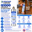 Pentair Everpure Q1000 replacement water filter cartridge package with a hand holding the white cylindrical cartridge, showing product details, specifications, and French text on a white background.