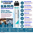 Everpure QL3B-7FCPS Water Filter System EV929850 (Forever Chemicals), Everpure QL3B-7FCPS System EV929850 | Forever Chemicals | Efilters ,Water Filter System