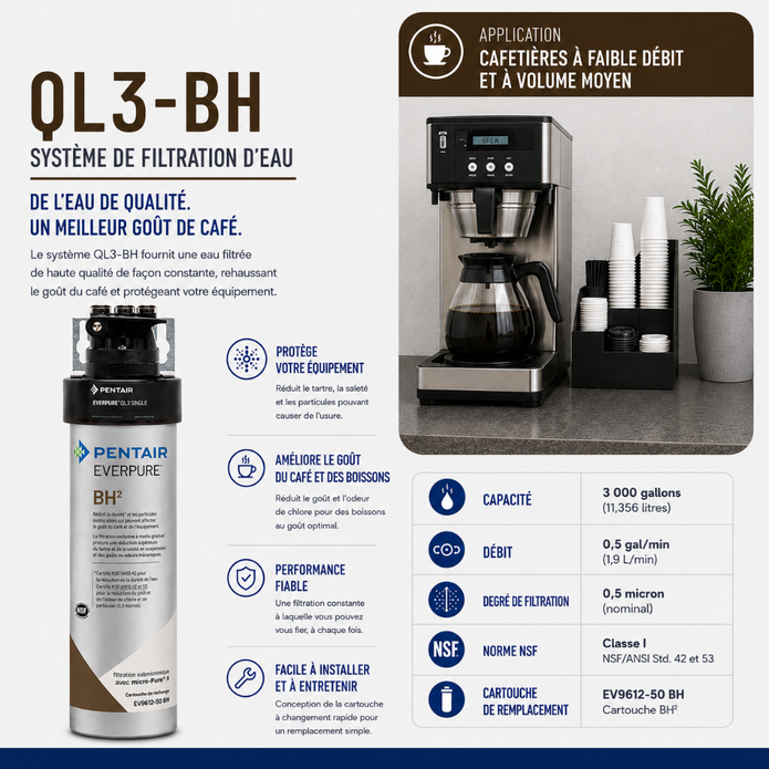 Everpure QL3-BH(2) Water Filtration System for Coffee EV927200, Everpure QL3-BH(2) Water Filter | Efilters | Shop today Ship today!,Water Filter System