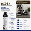 Everpure QL3-BH(2) Water Filtration System for Coffee EV927200, Everpure QL3-BH(2) Water Filter | Efilters | Shop today Ship today!,Water Filter System
