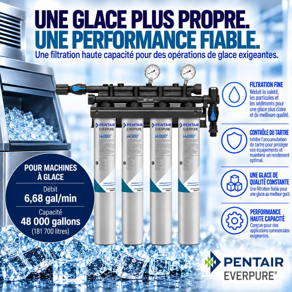 Everpure Insurice Quad 4000(2) Water Filter System for Ice EV932504