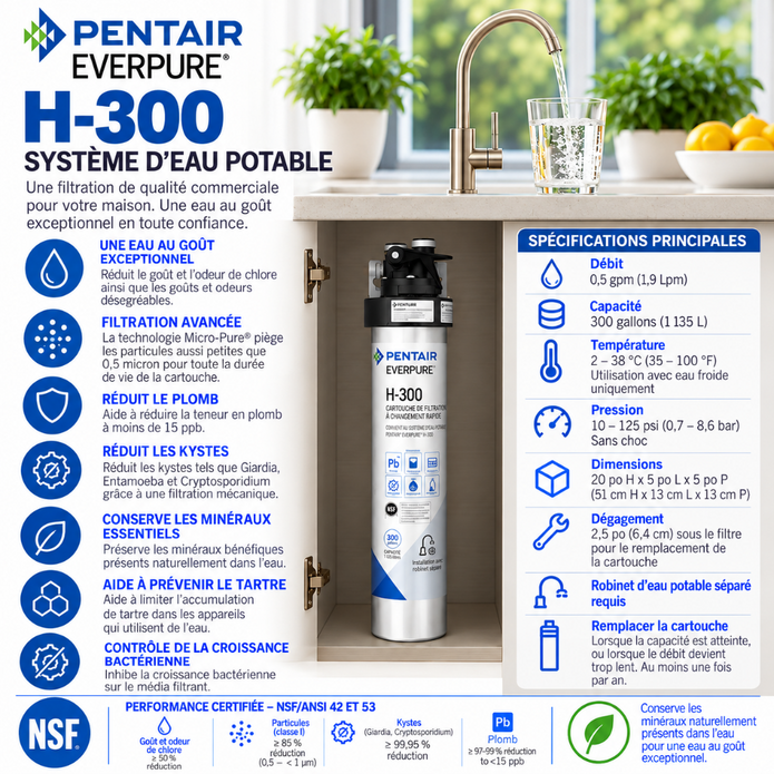 Everpure H300 Drinking Water Filtration System EV927076