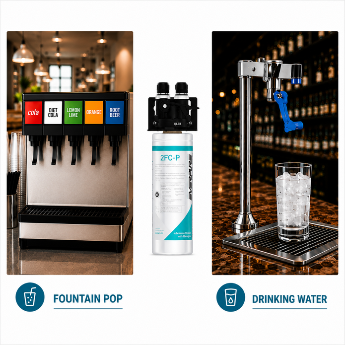 Everpure QL3B-2FCP Water Filtration System EV929800 (Forever Chemicals), Everpure QL3B-2FCP System EV929800 | Forever Chemicals | Efilters ,Water Filter System