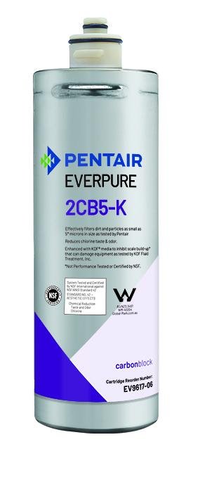 Everpure 2CB5-K Cartridge EV9617-06 - Efilters.ca