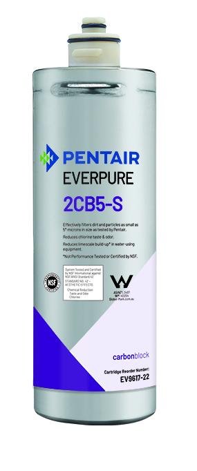 Everpure 2CB5-S Cartridge EV9617-22 - Efilters.ca