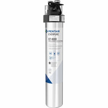 Load image into Gallery viewer, Everpure EF-6000 Drinking Water System EV9855-00 (6,000 gallons) - Efilters.ca