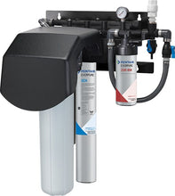 Load image into Gallery viewer, Everpure Endurance Twin High Flow Water Filter System EV943730 - Efilters.ca