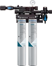 Load image into Gallery viewer, Everpure Insurice 2000(2) Twin Water Filter System EV932402 - Efilters.ca