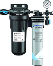 Load image into Gallery viewer, Everpure Insurice Single PF-4SI Water Filter System EV9324-61 - Efilters.ca
