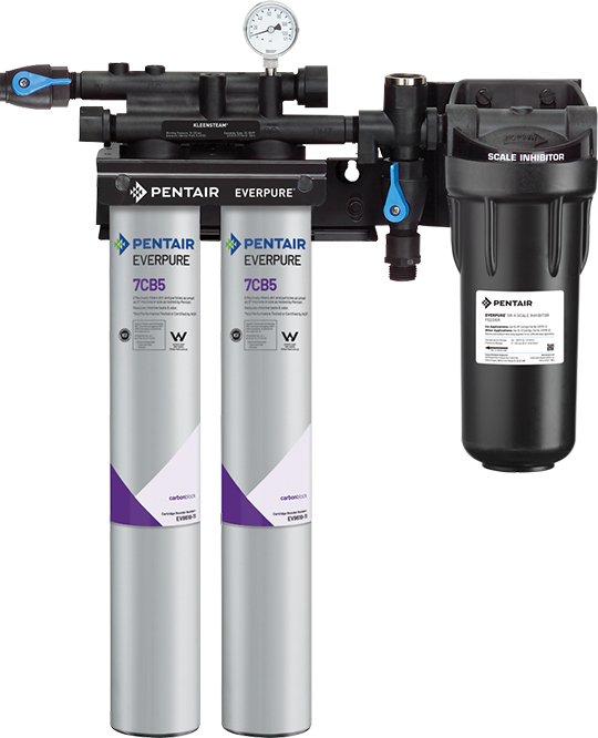 Everpure Kleensteam II Twin Water Filter System EV979722 - Efilters.ca