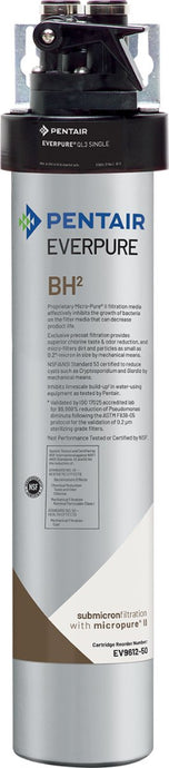 Everpure QL3BH(2) Water Filter System EV927200 - Efilters.ca